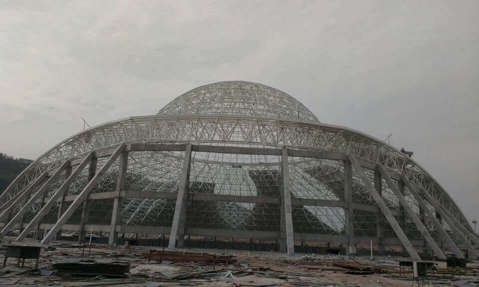 临沂体育场馆网架工程